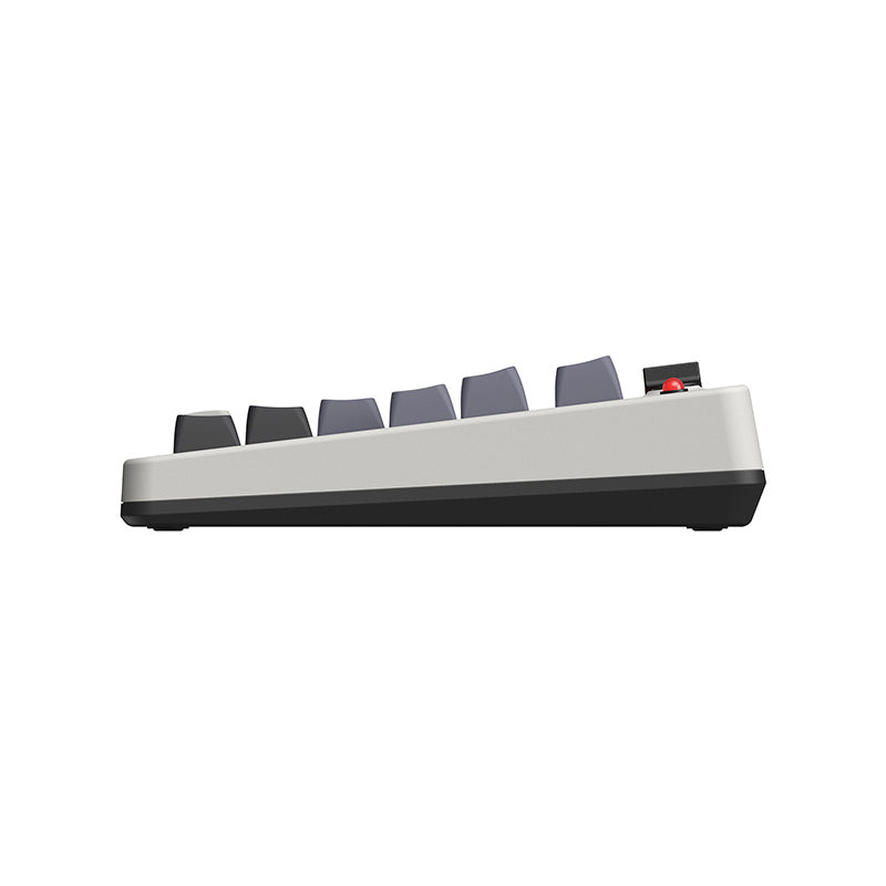 8BitDo Retro Mechanical Keyboard - Keyboard Collection for Gaming and Daily Typing