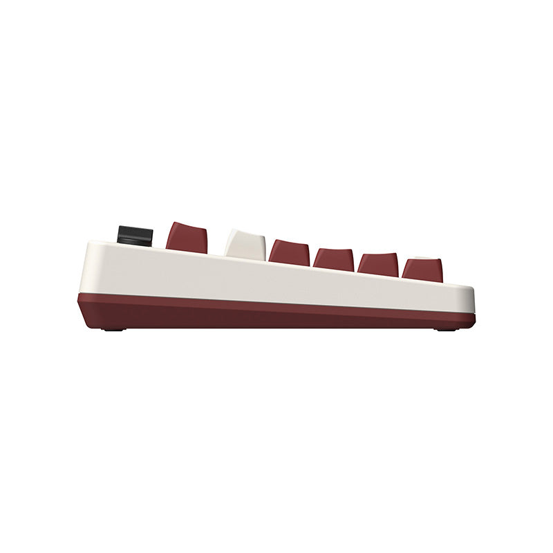 8BitDo Retro Mechanical Keyboard - Keyboard Collection for Gaming and Daily Typing